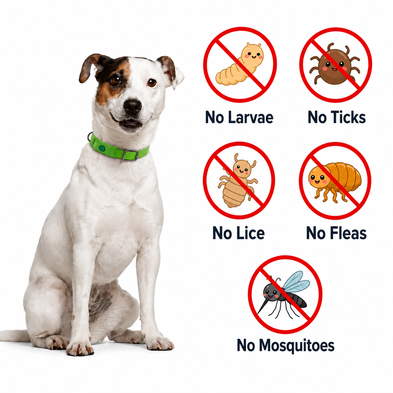 Furmora® Natural Protection Tag
